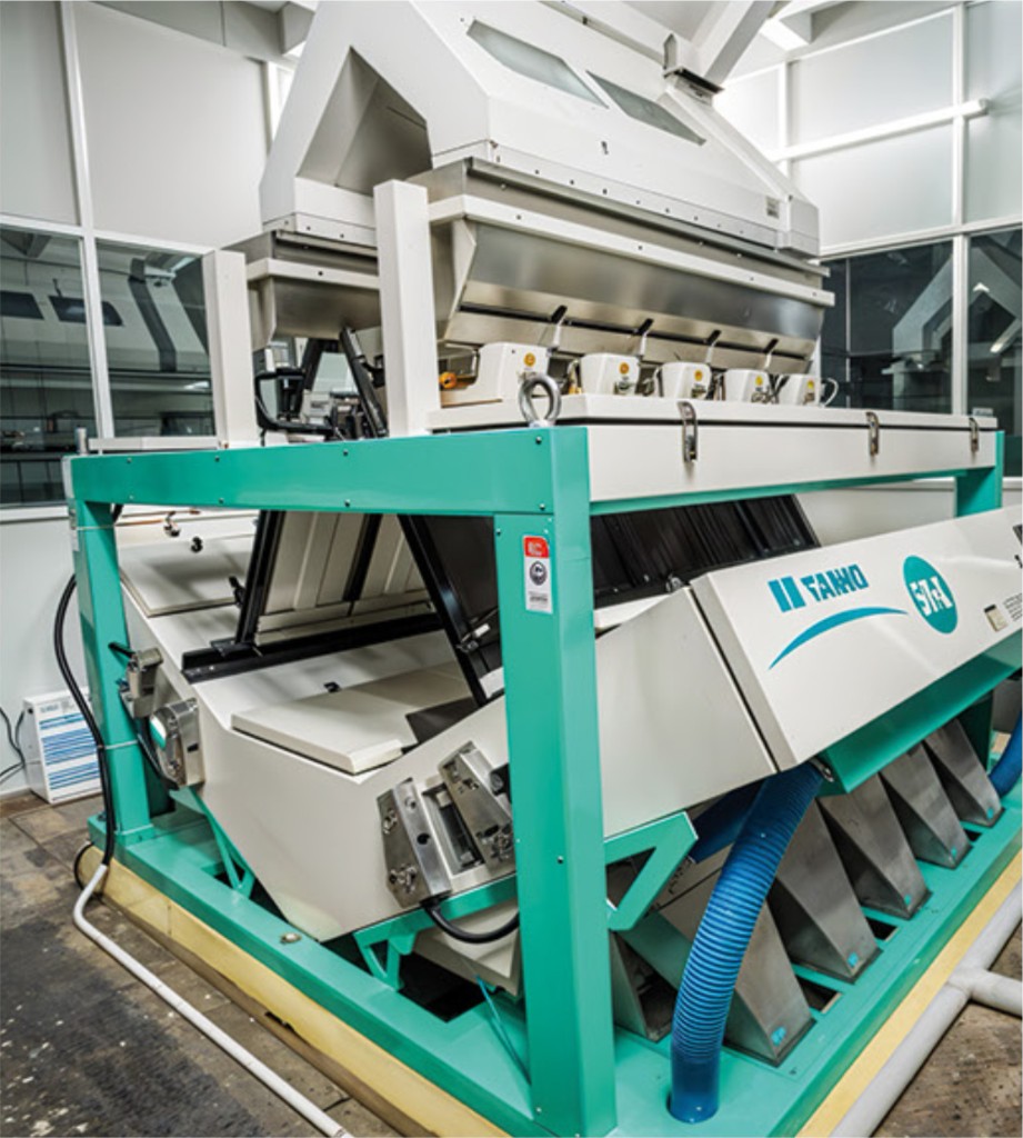 Peanutji AI Sortex — TAIHO color sorter
